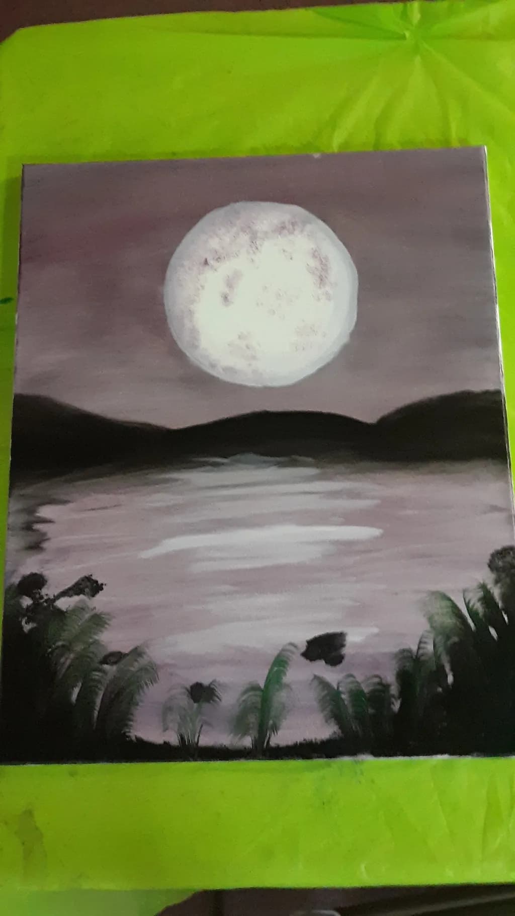 Moonlit Reflections