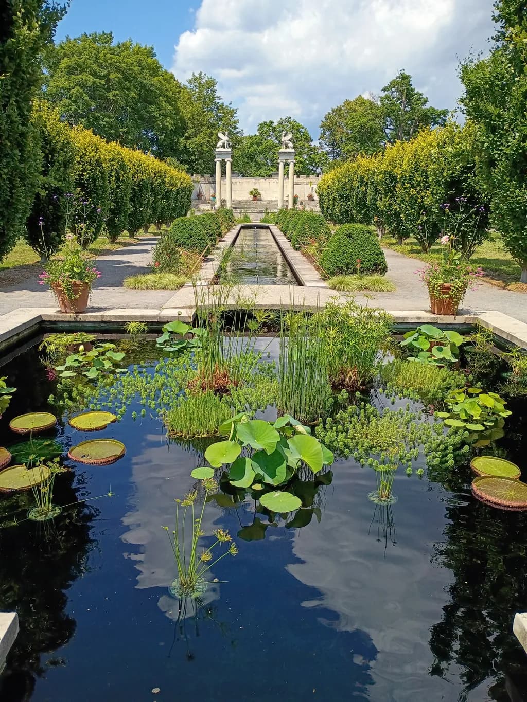 Reflective Garden Path