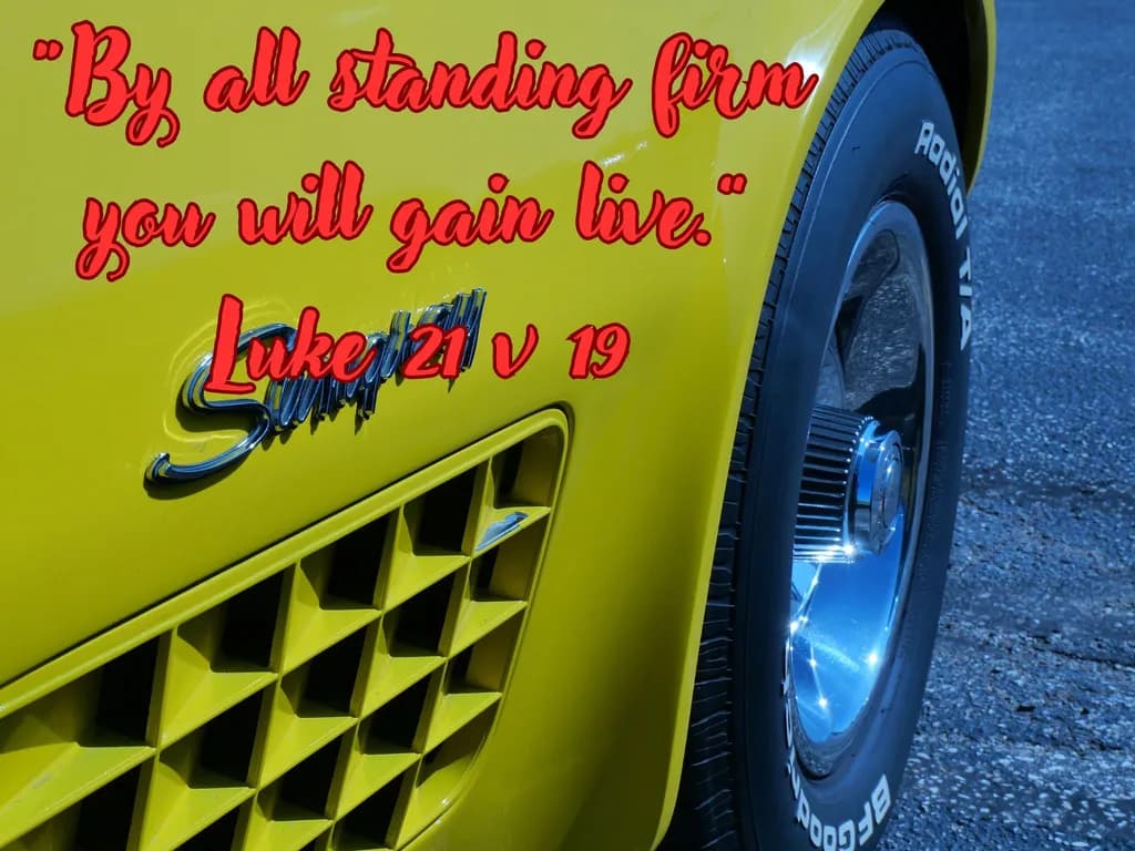 By All Standing Firm