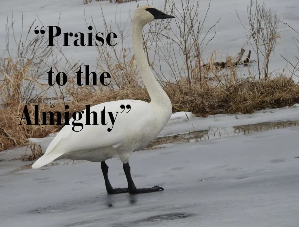 Praise to the Almighty