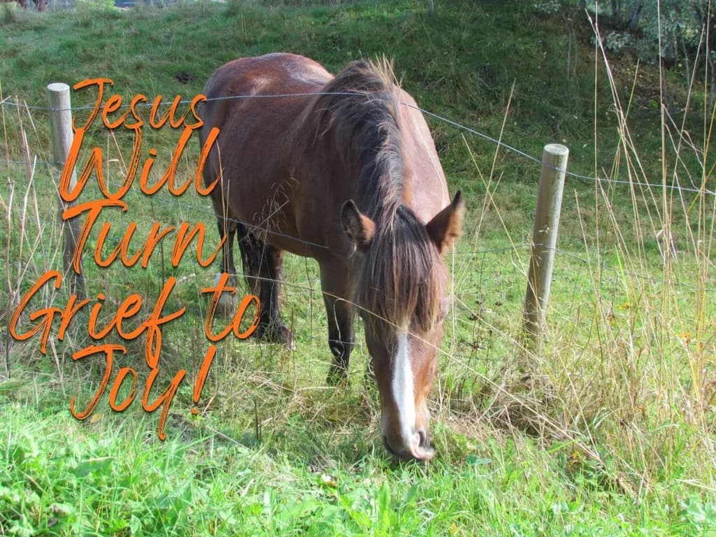 Jesus Will Turn Grief to Joy