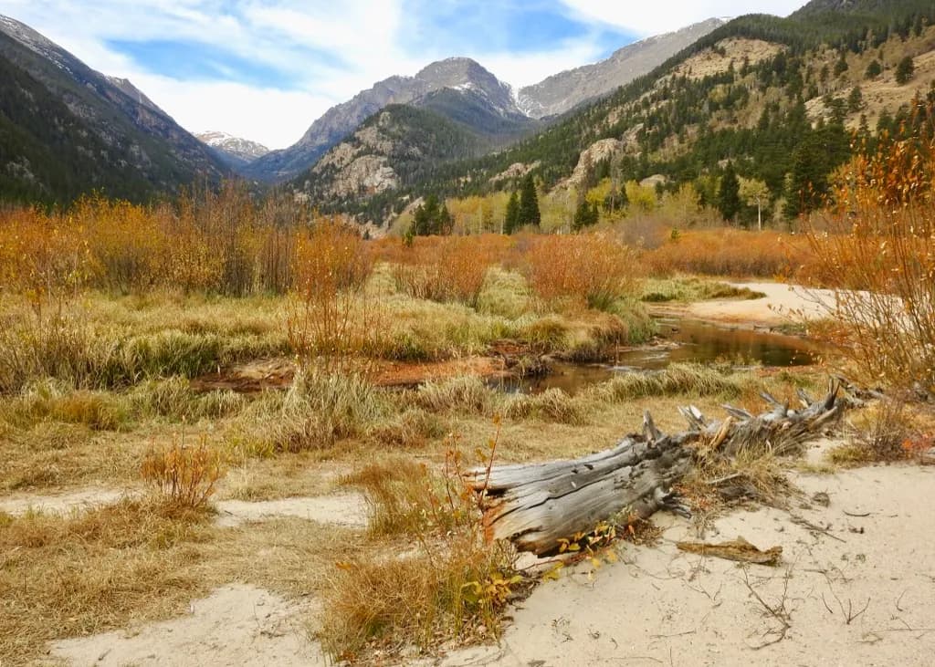Autumn Meadow Stream
