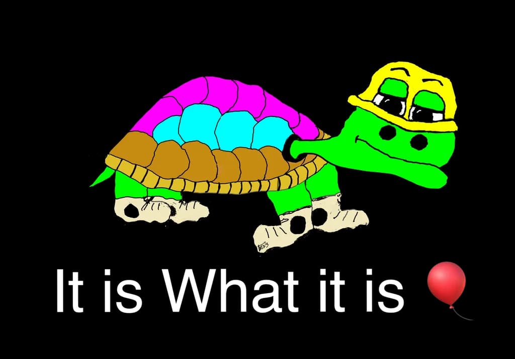 Worker Turtle
