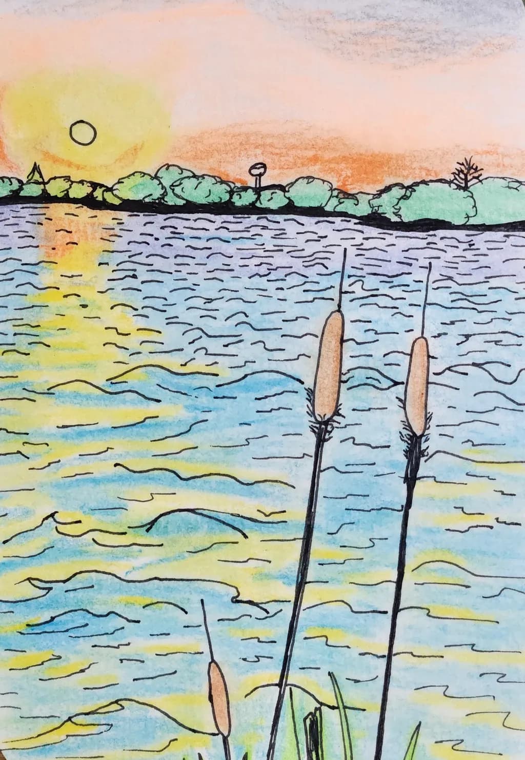 Sunlit Cattails