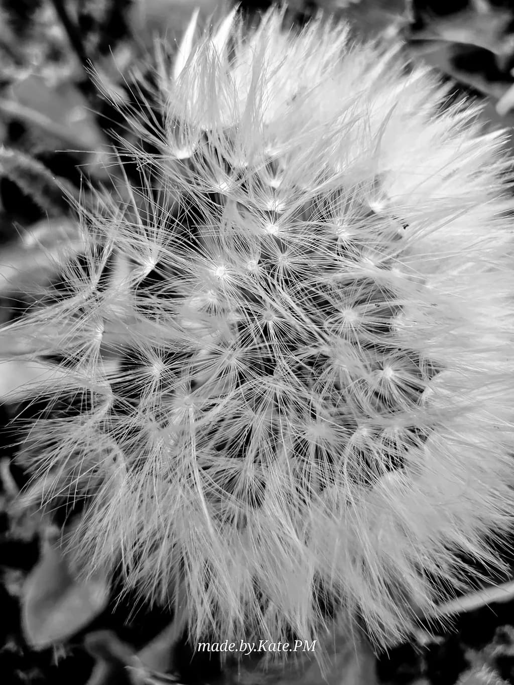 Delicate Tangle