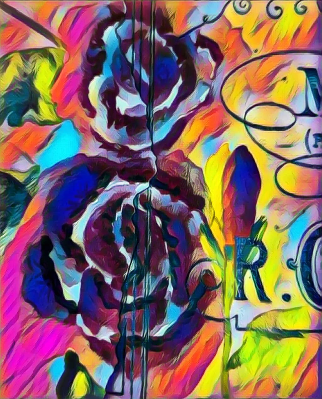Chromatic Floral Portrait