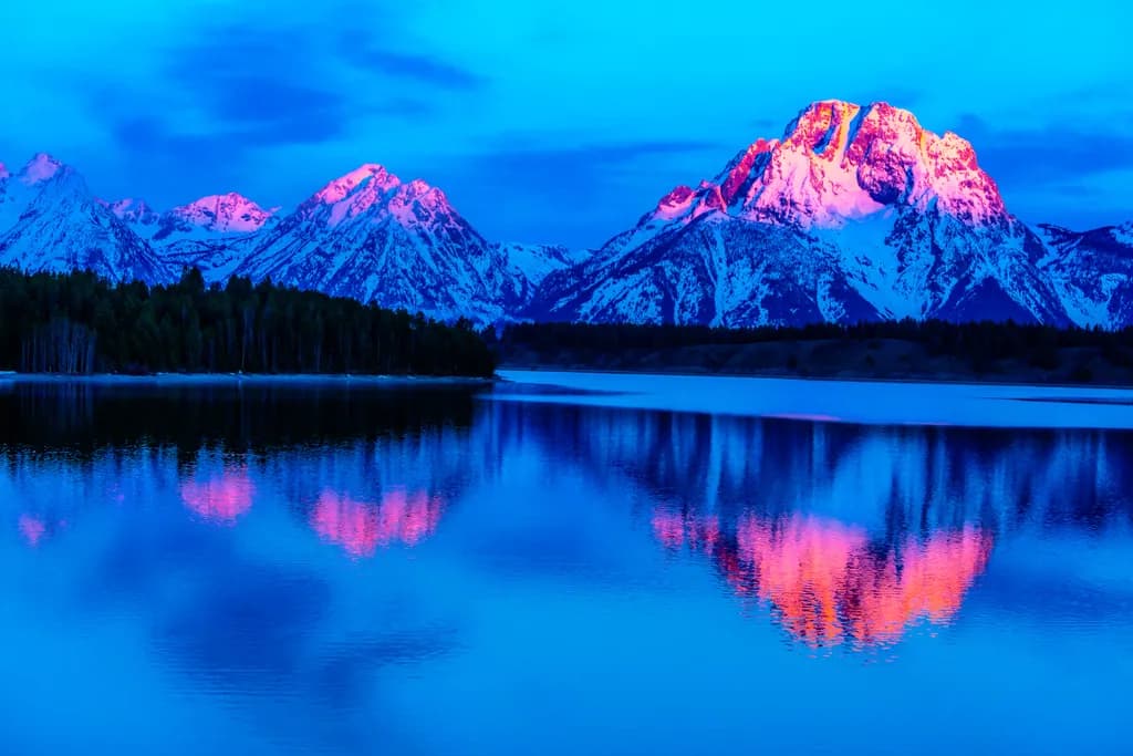 Jackson Twilight