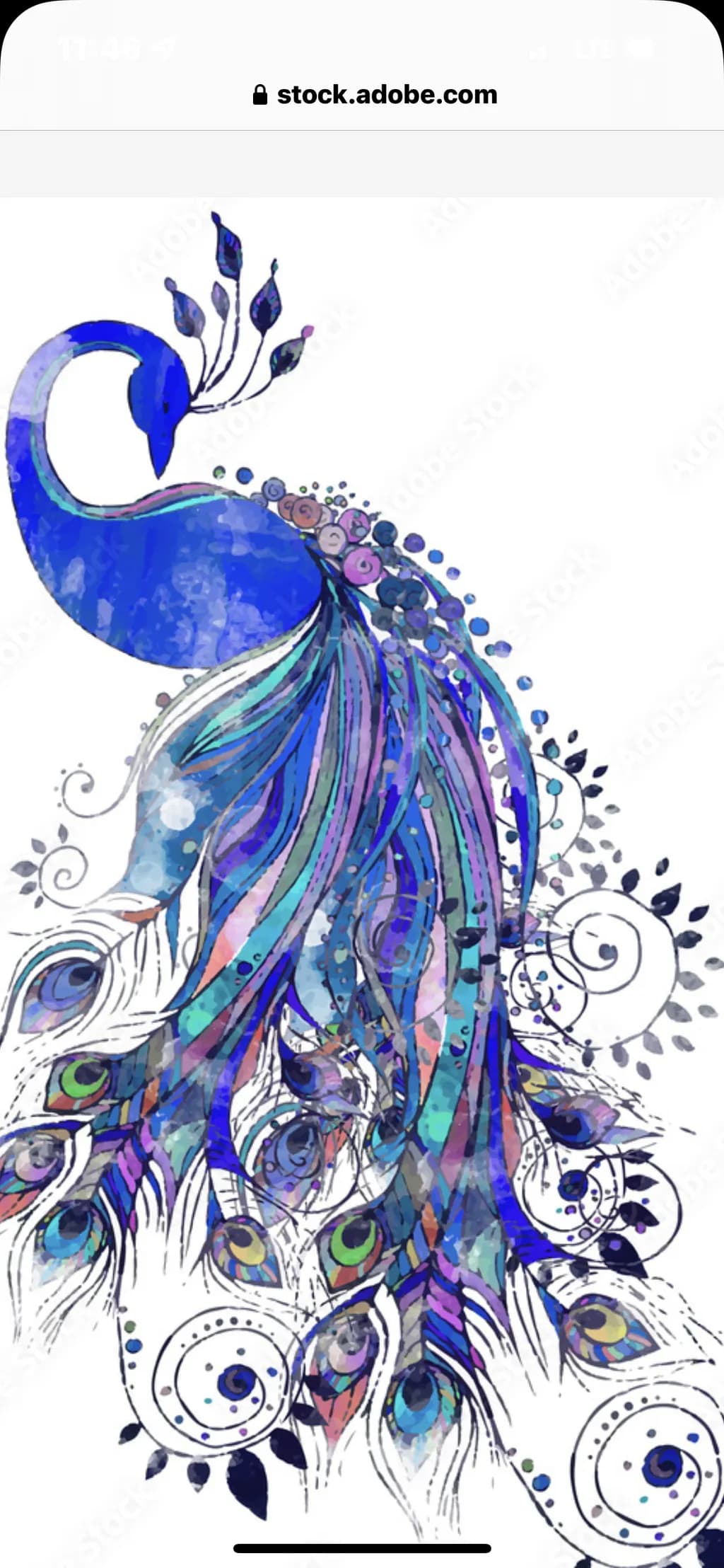 Blue Plumage