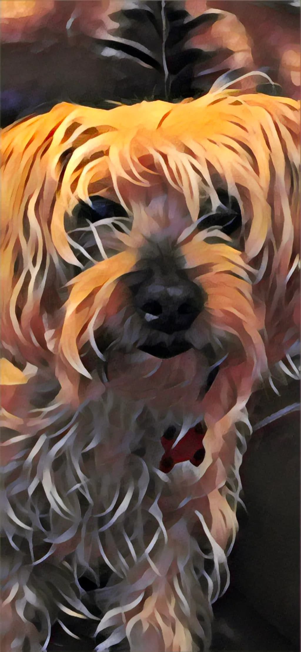 Tangled Fur