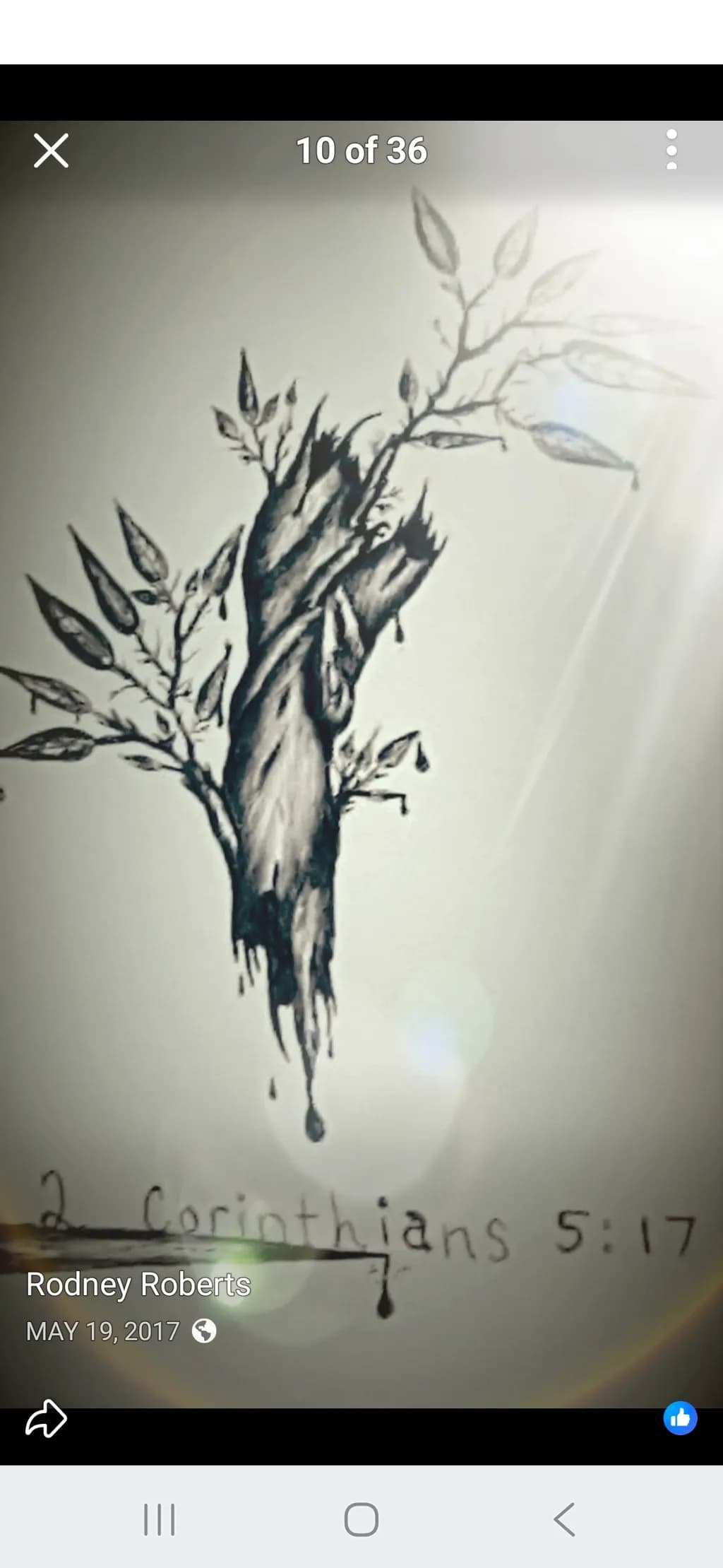 Rooted Renewal