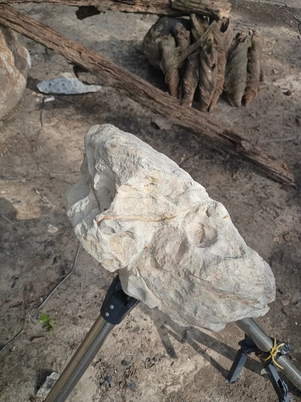 Textured Stone Form