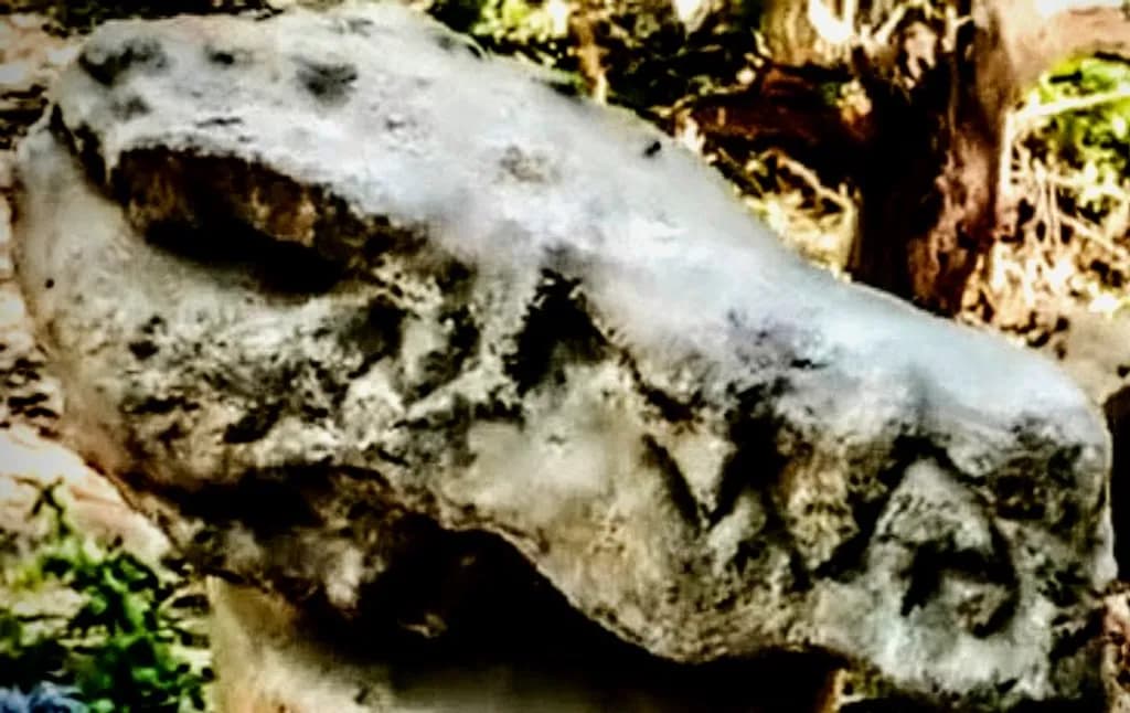 Stone Beast Head
