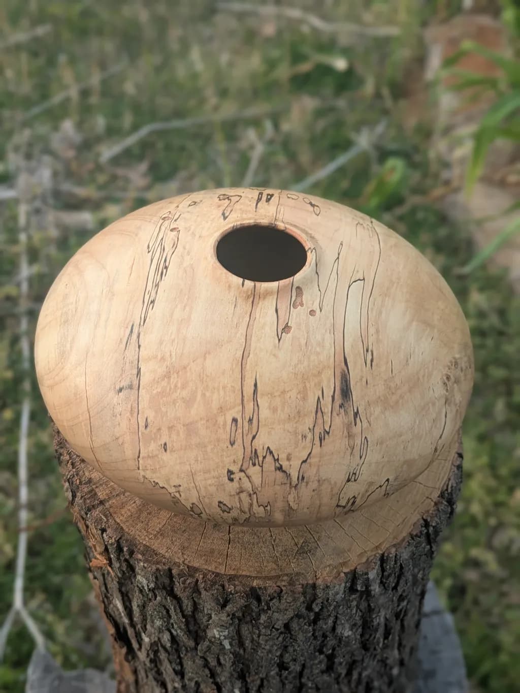 Spalted Hollow Vessel