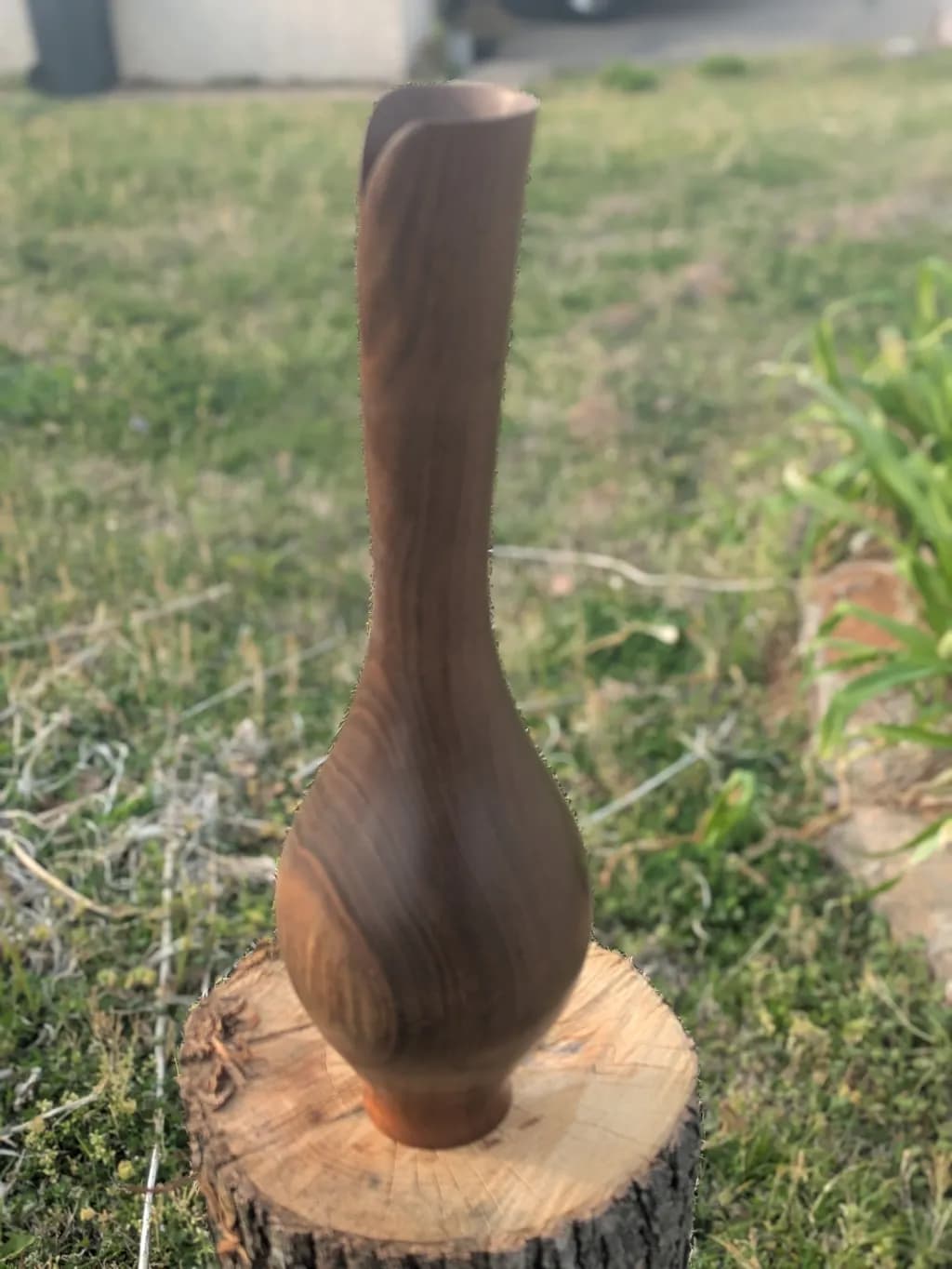 Sculpted Elegance