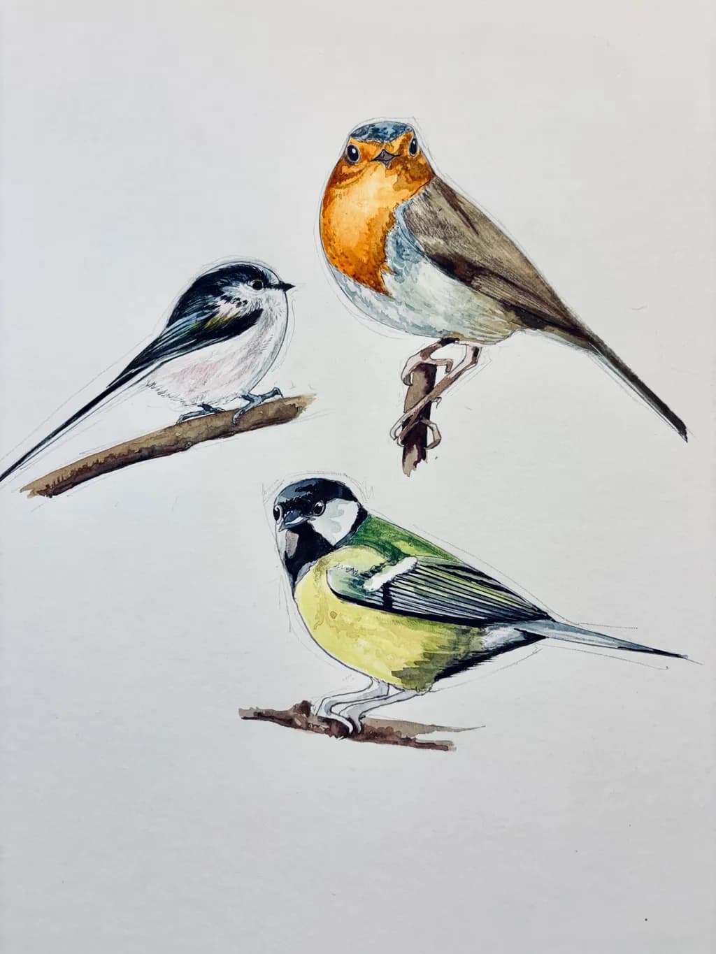 Three Songbirds