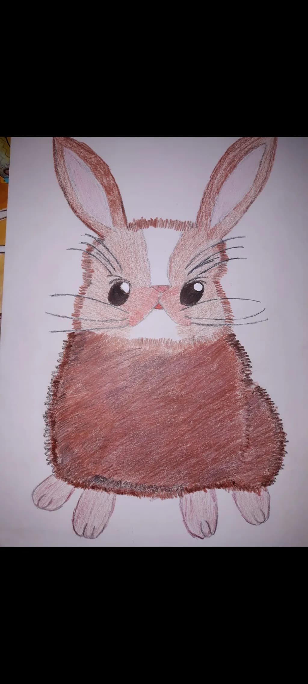 Plush Rabbit