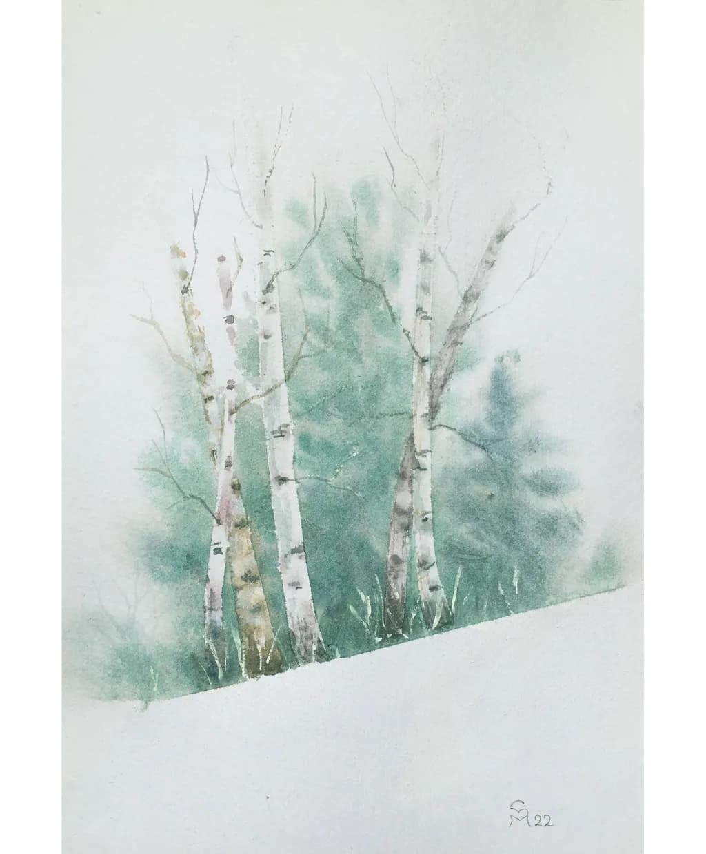 Breezy Birches