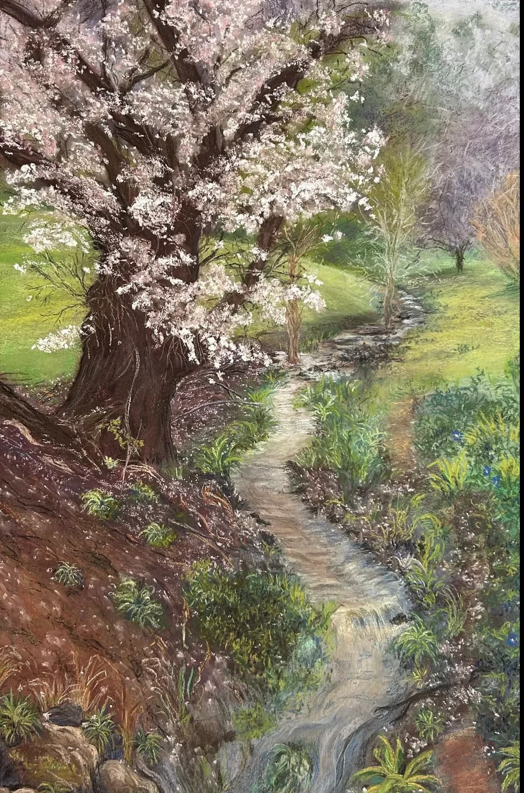 Blossom Creek