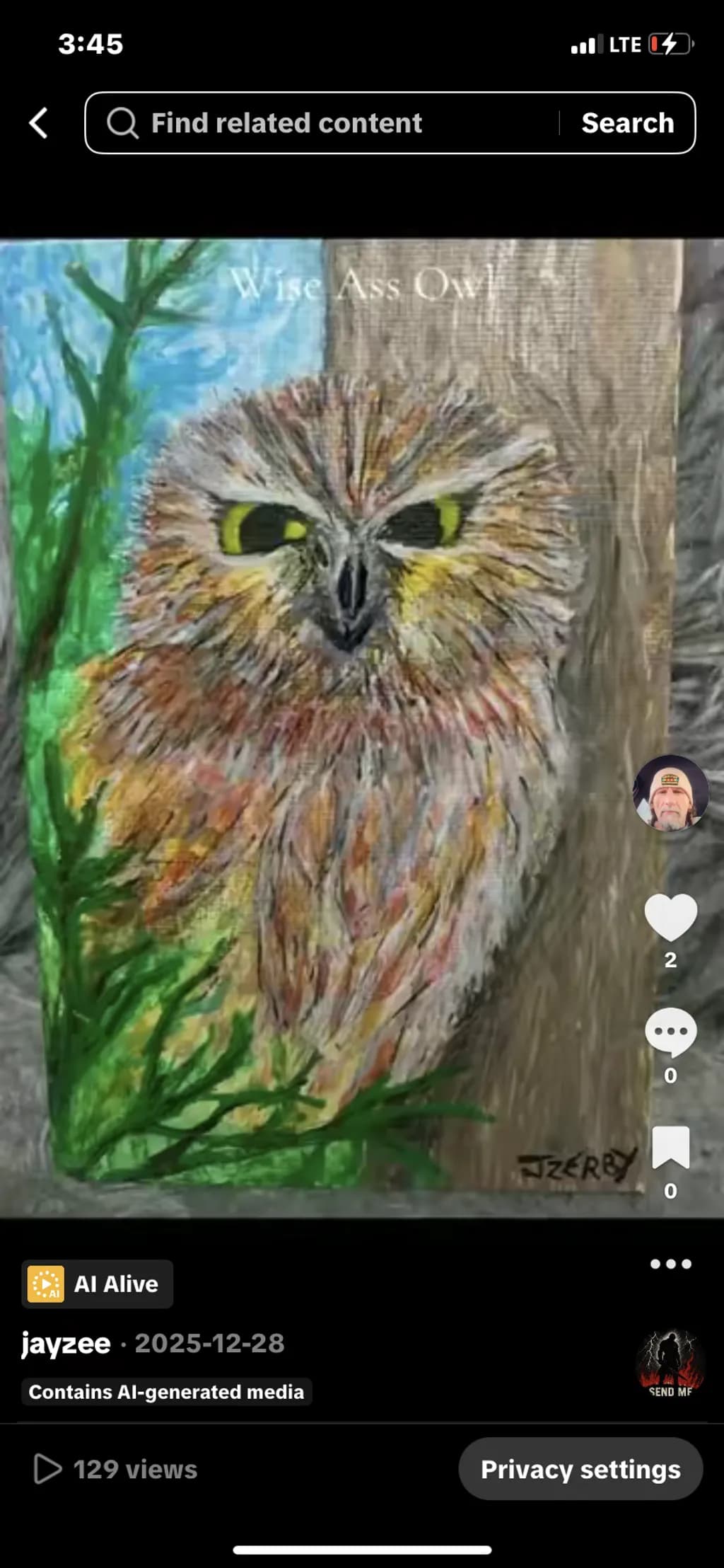 Wise Ass Owl