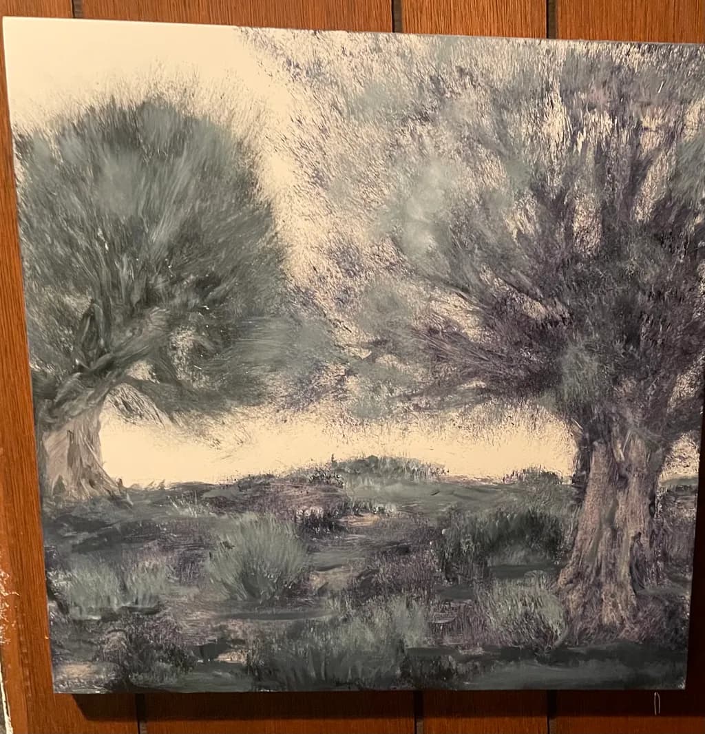 Olive Grove Dusk