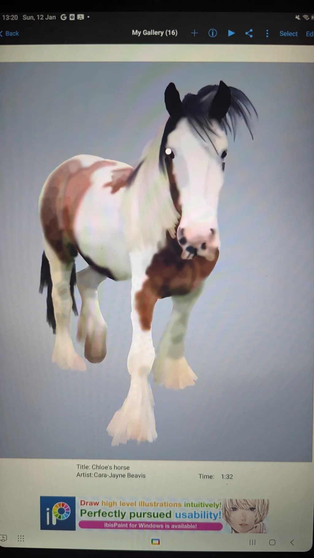 Chloe's Horse