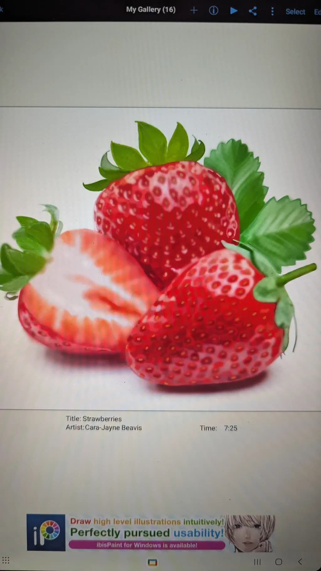 Strawberries