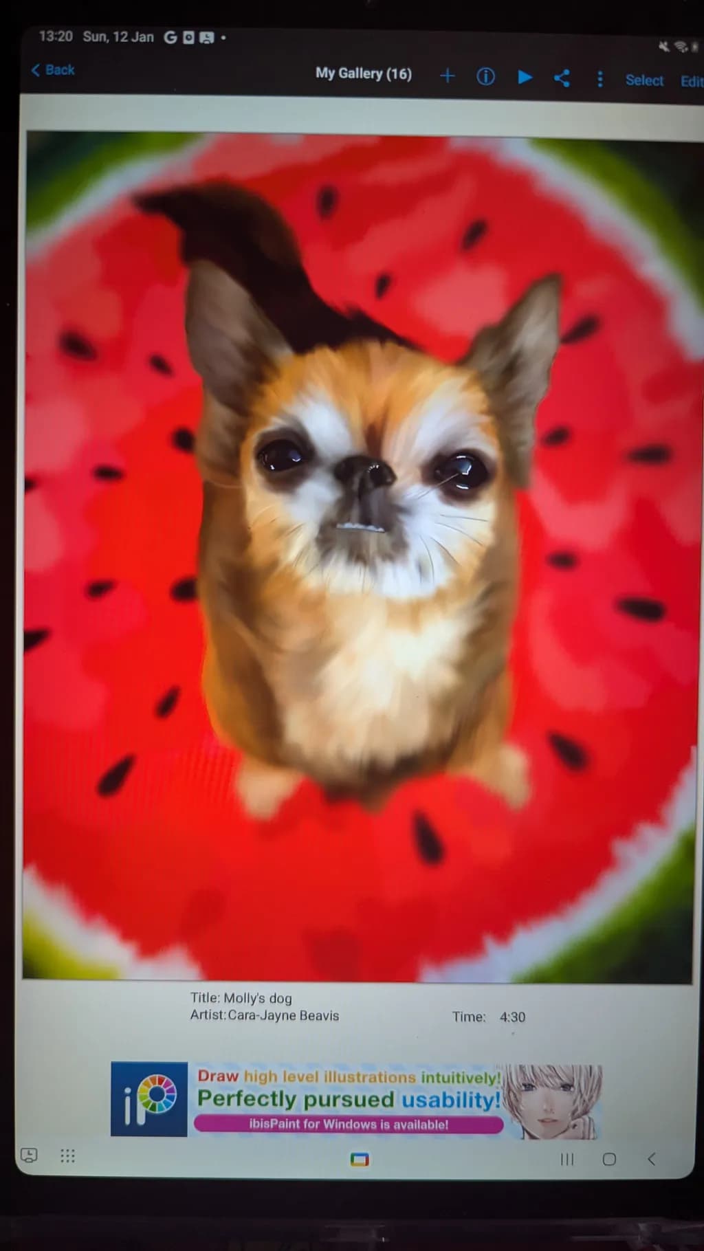 Molly's Dog