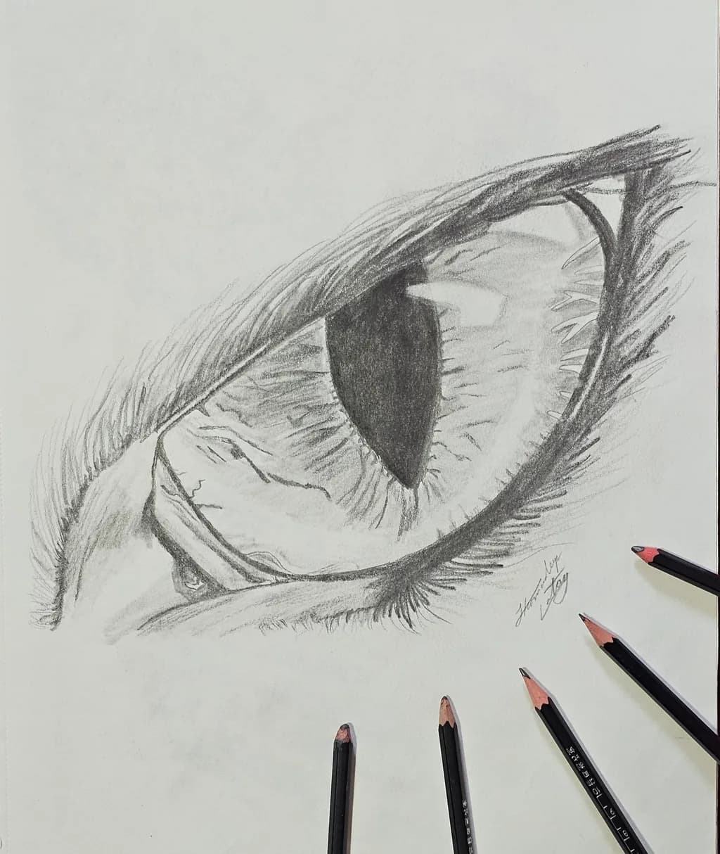 Silent Gaze