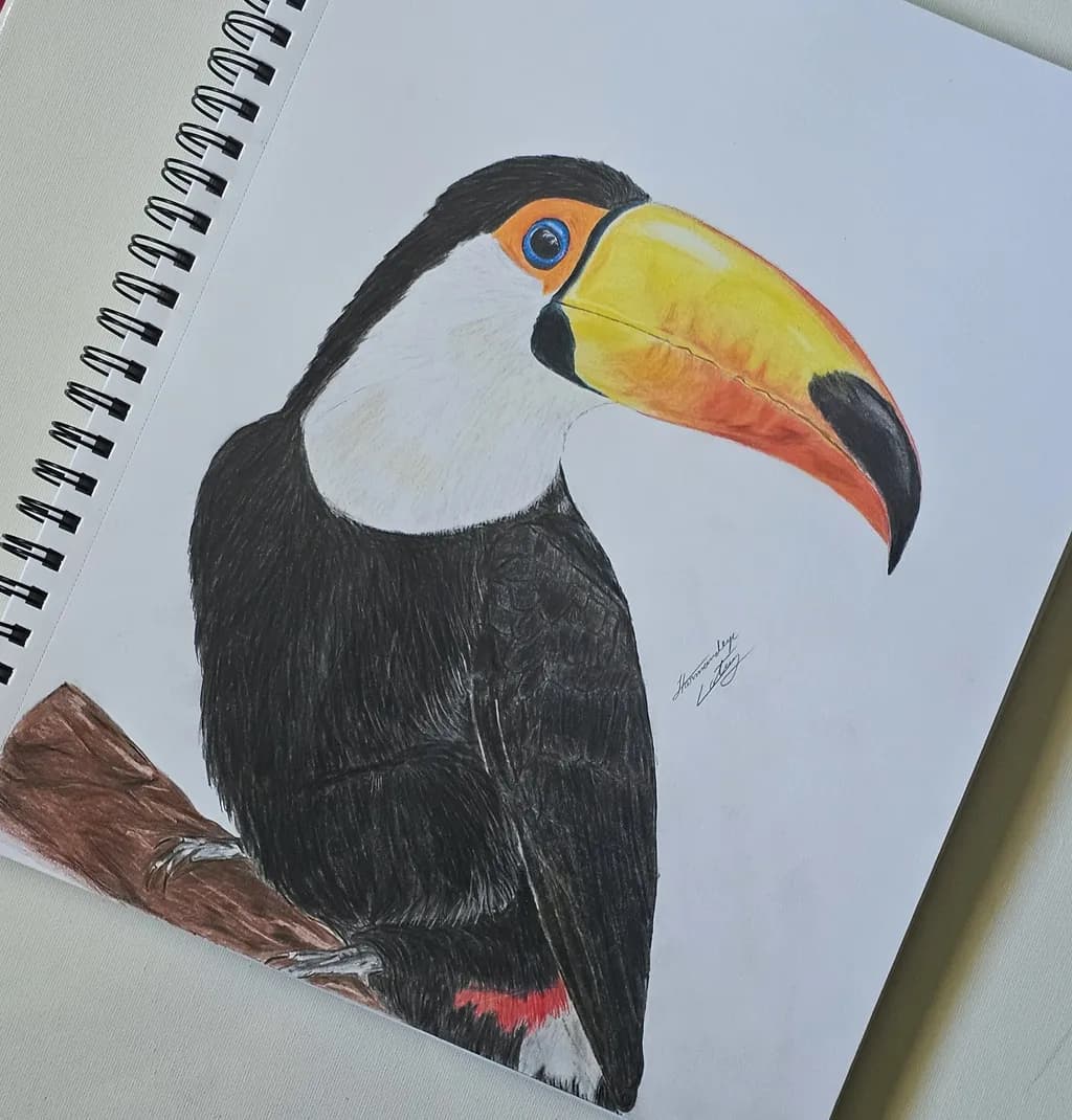 Toco Toucan Portrait