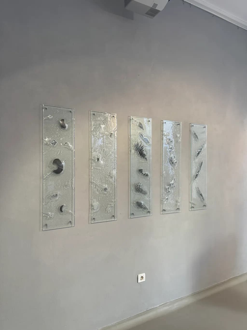 Fossil Impressions