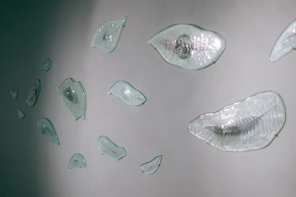 Floating Glass Echoes