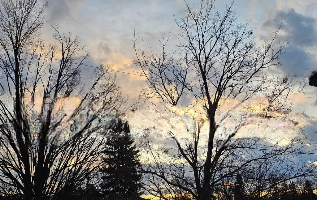 Winter Silhouettes