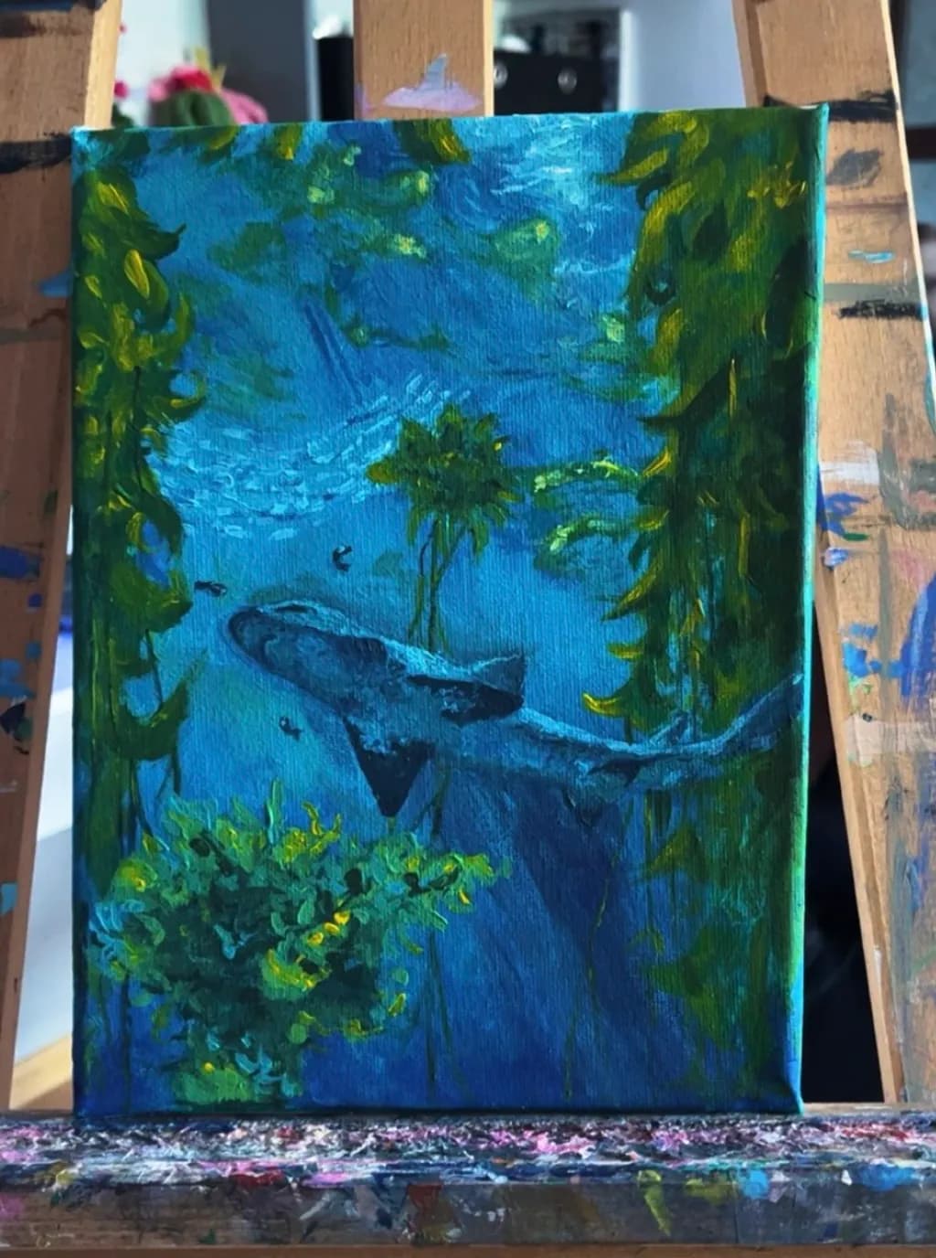 Kelp Forest Shark