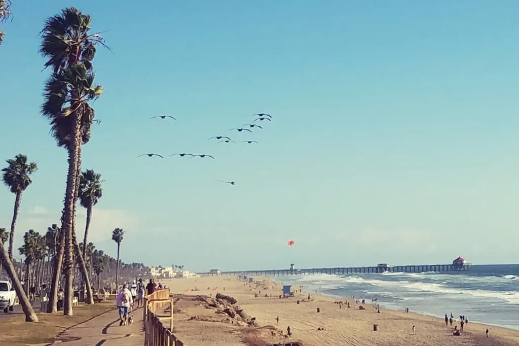Coastal Stroll