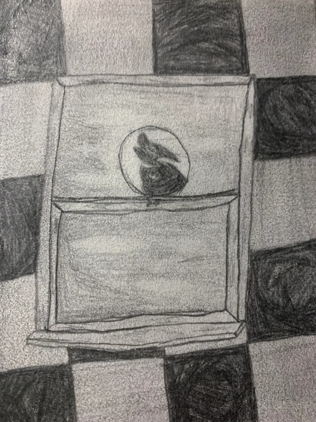 Shadowed Chessboard