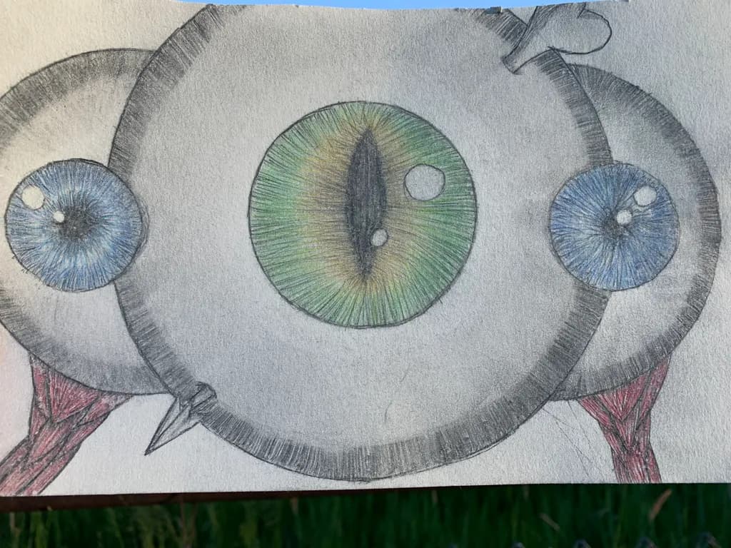 Triple Gaze