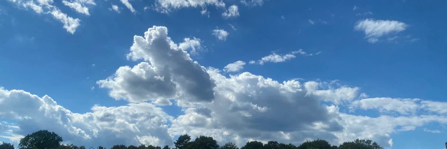 Profilbanner