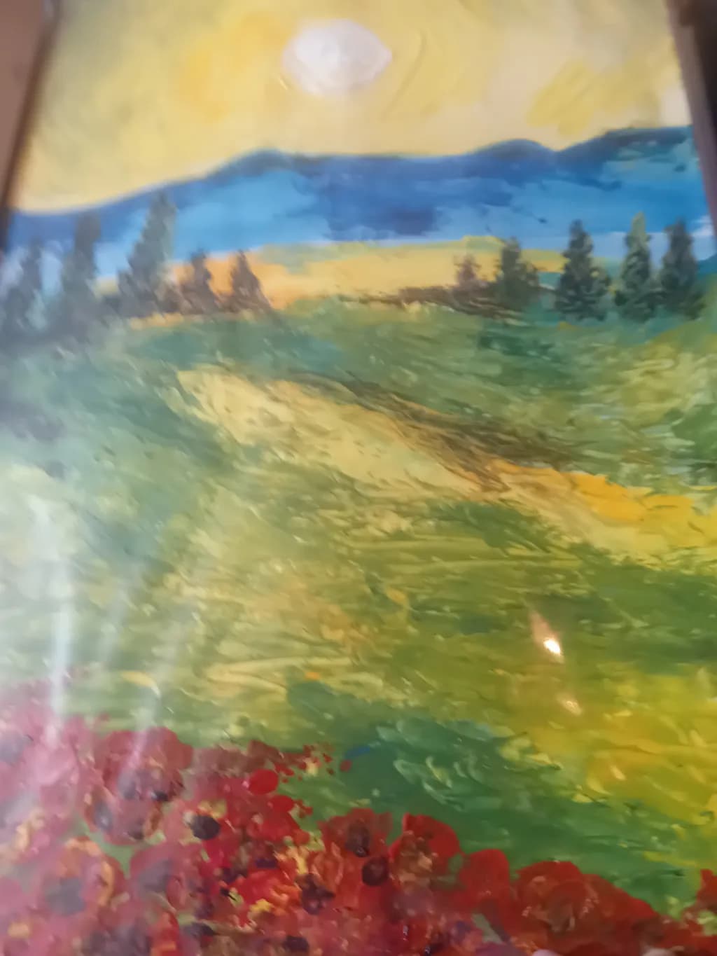 Sunlit Meadow