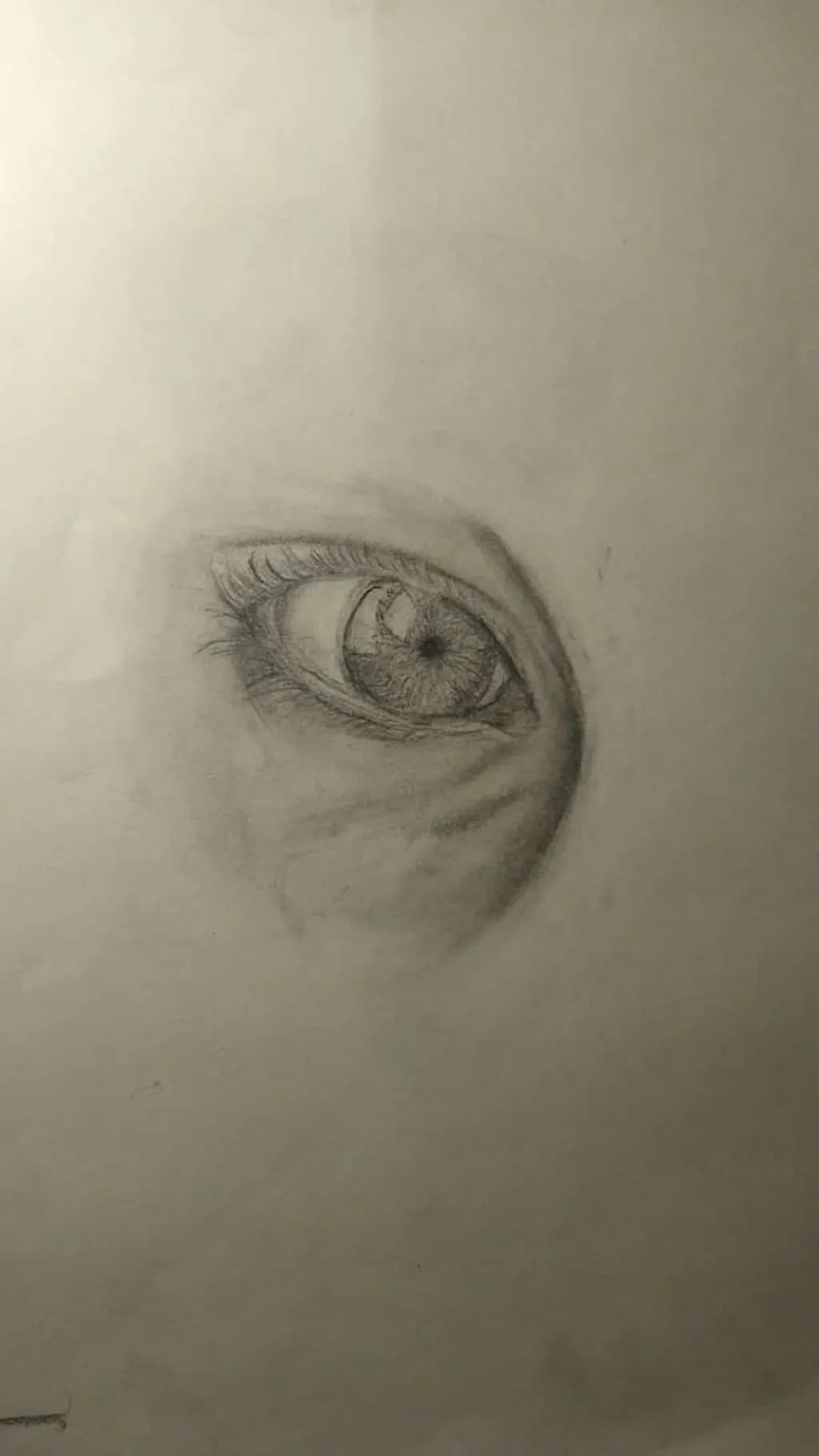 Gaze Study