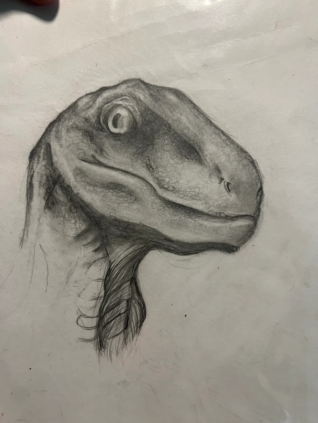 Velociraptor Profile