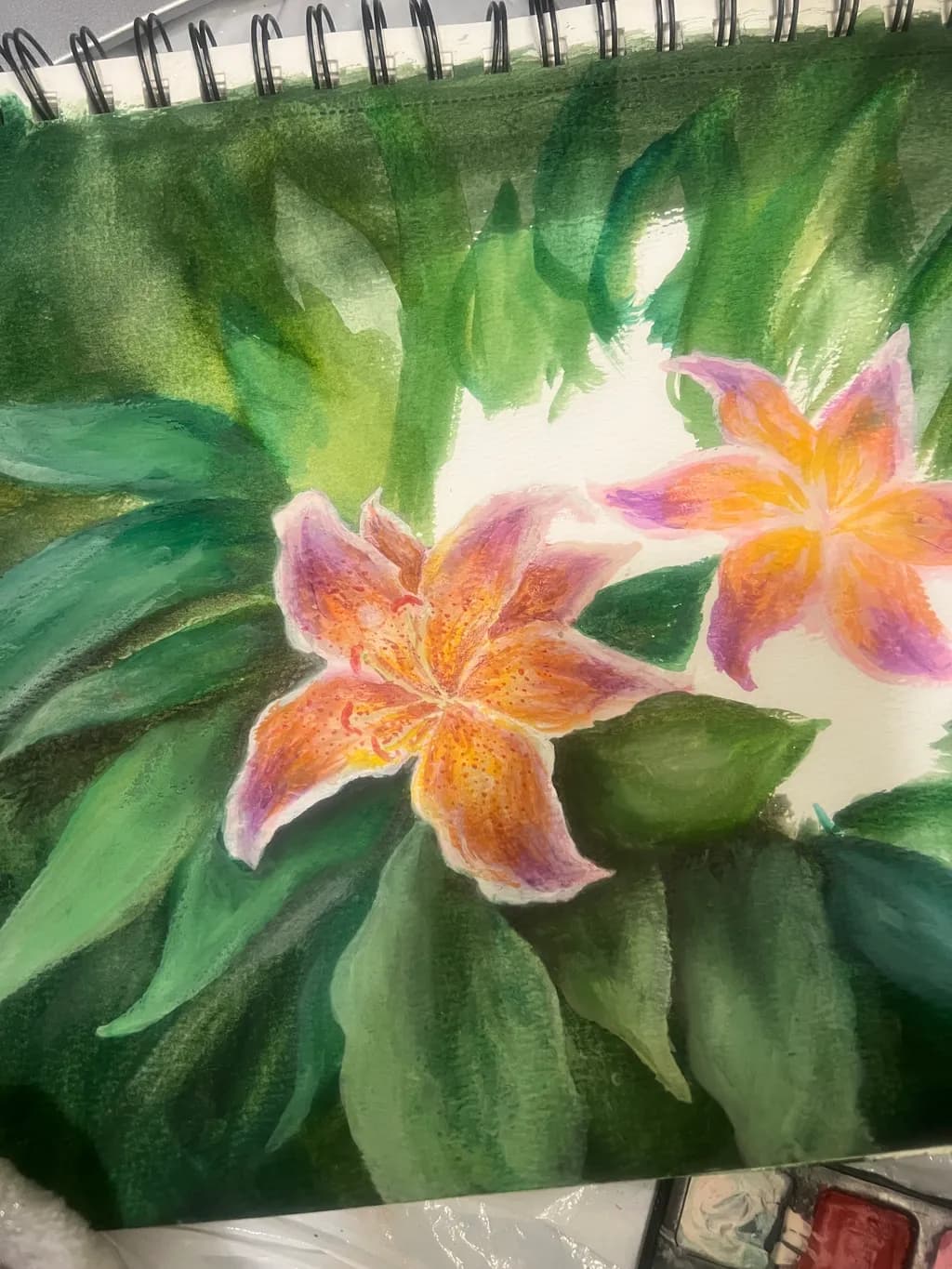 Tropical Lilies