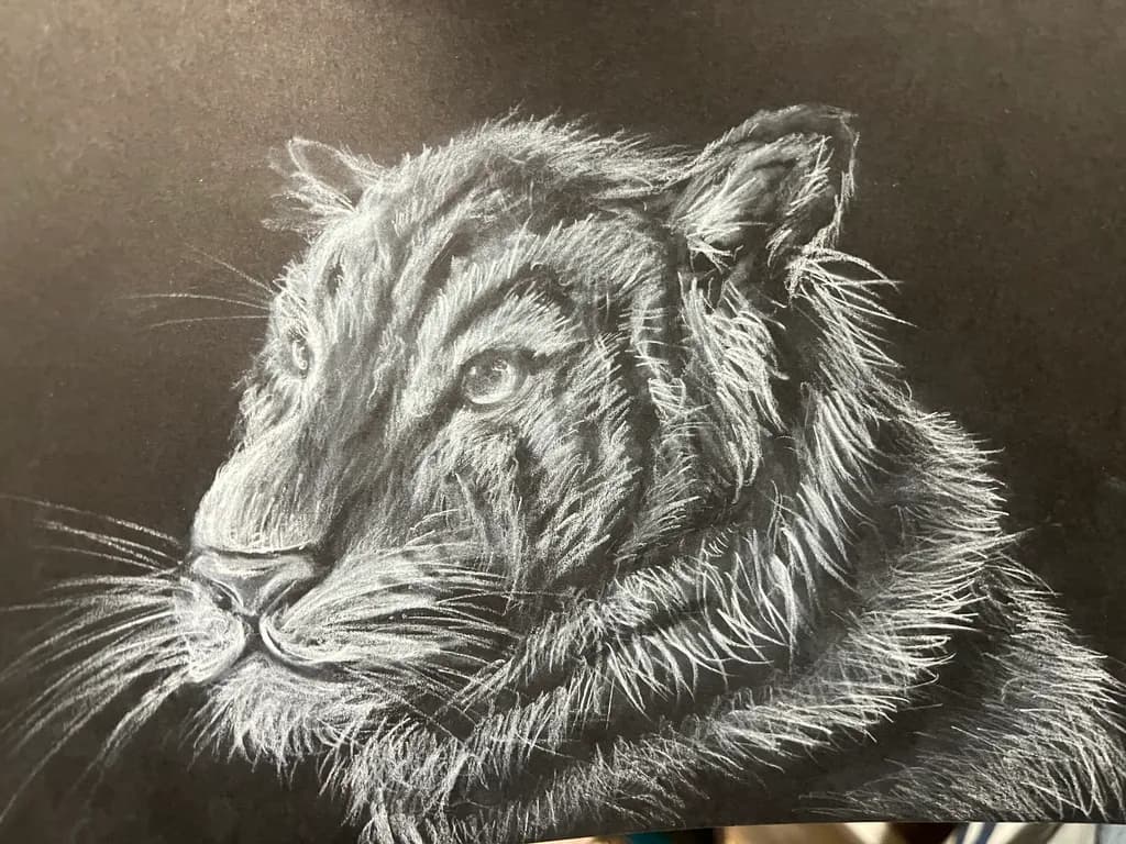 Whiskered Majesty