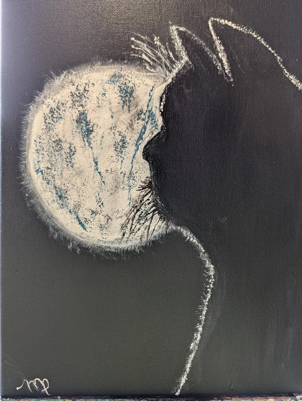 Moonlit Cat Silhouette