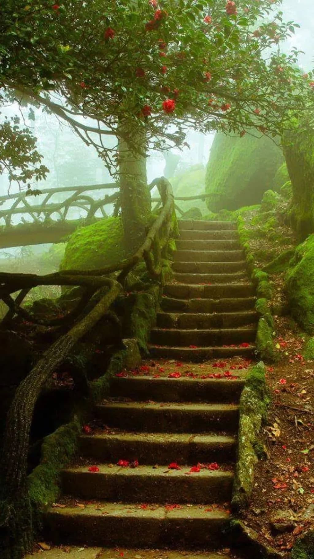 Mossy Garden Steps