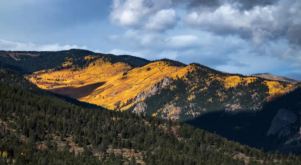 Golden Ridge Light