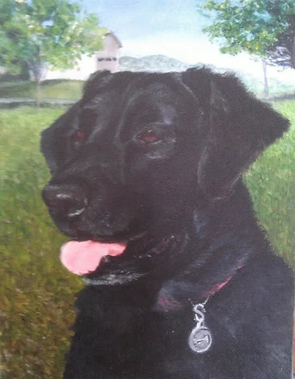 Black Lab Portrait