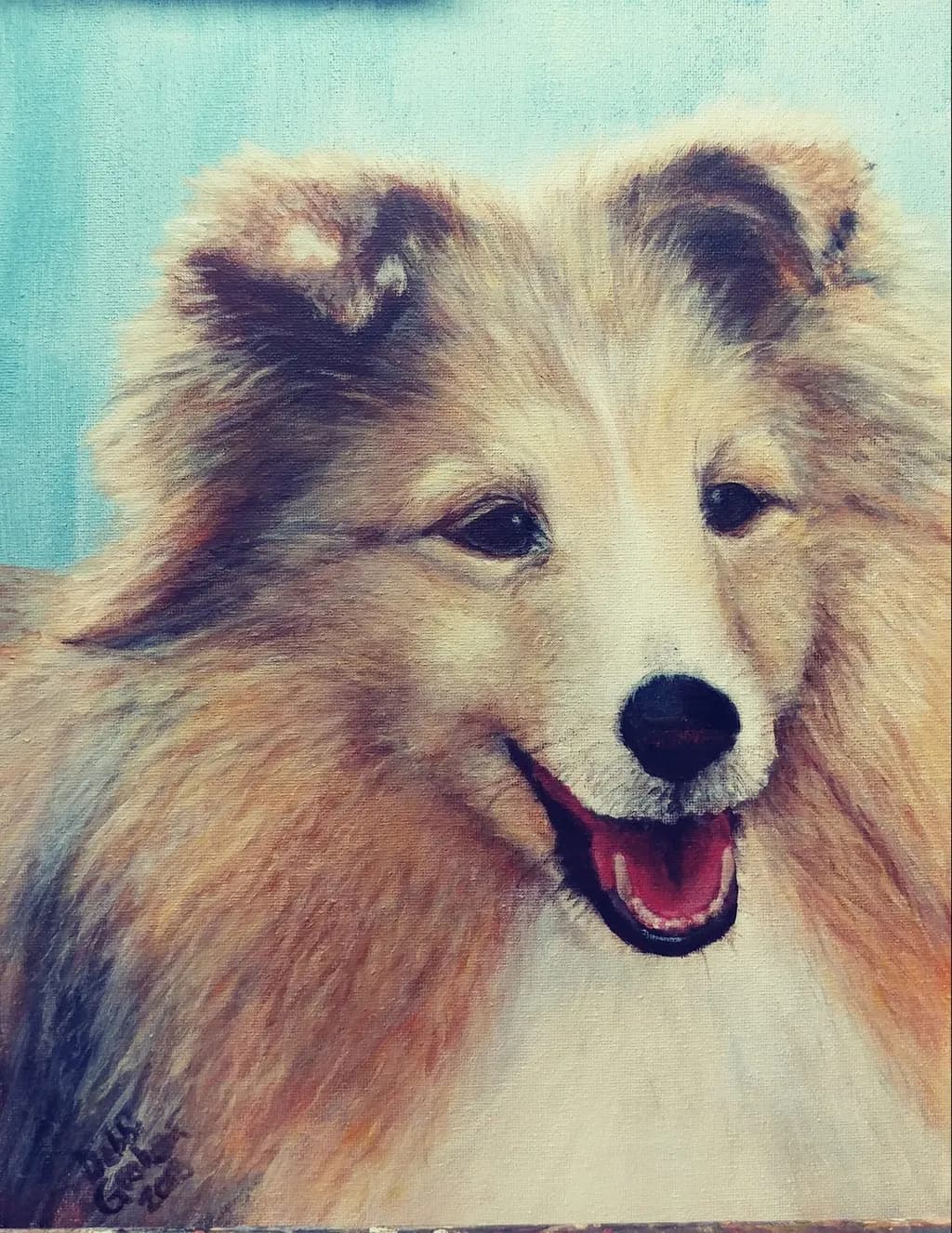 Joyful Sheltie