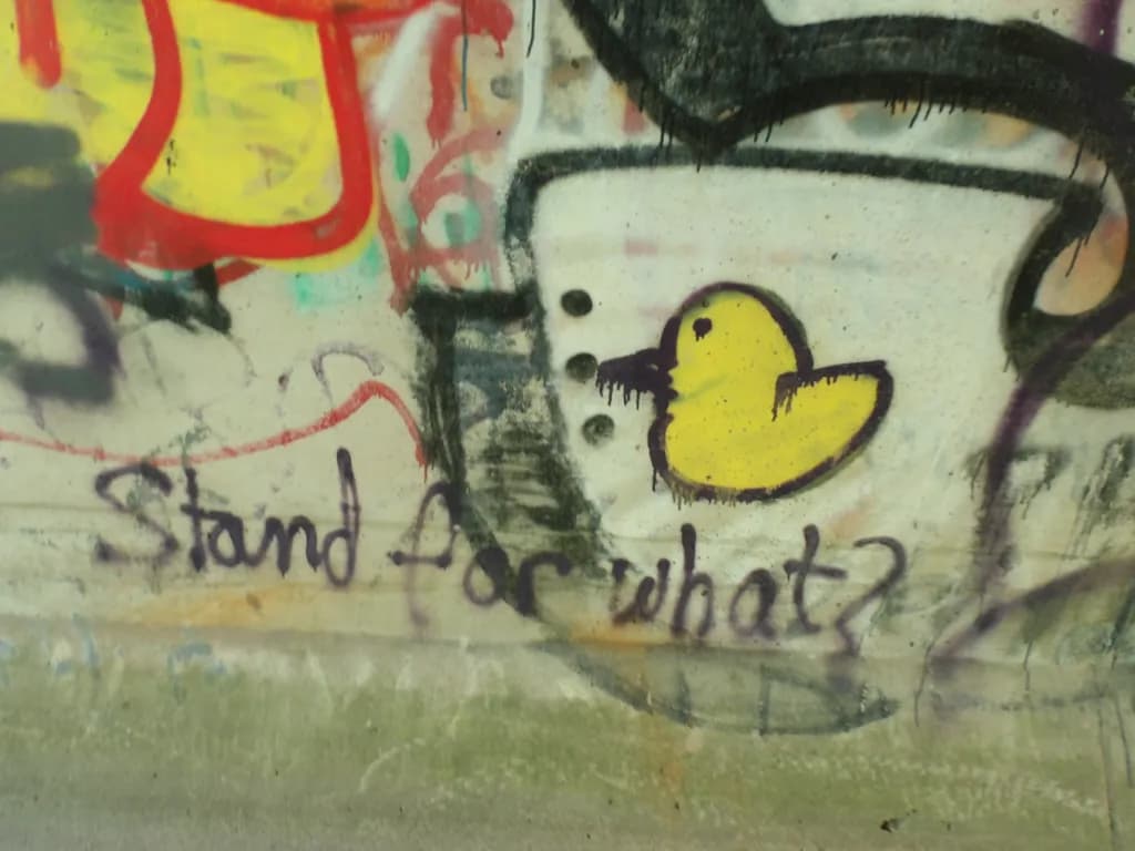 Graffiti Duck Wall