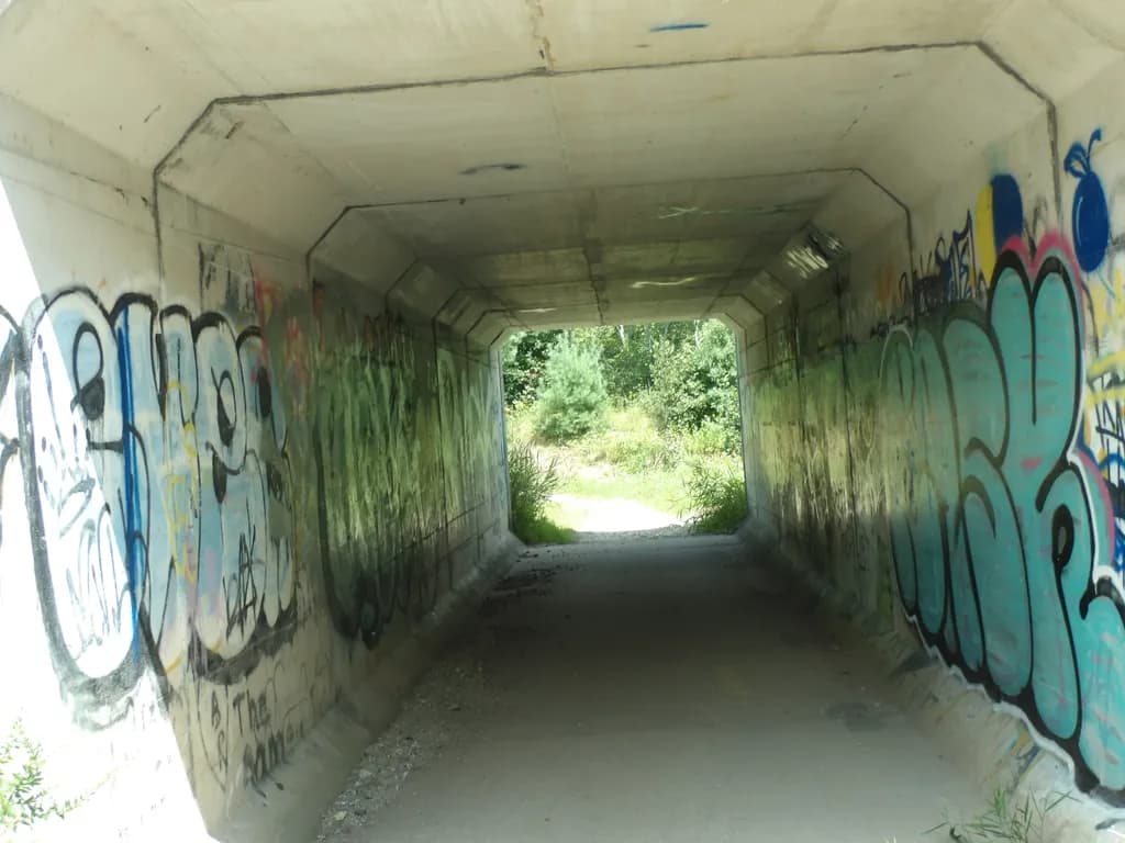 Graffiti Tunnel Light