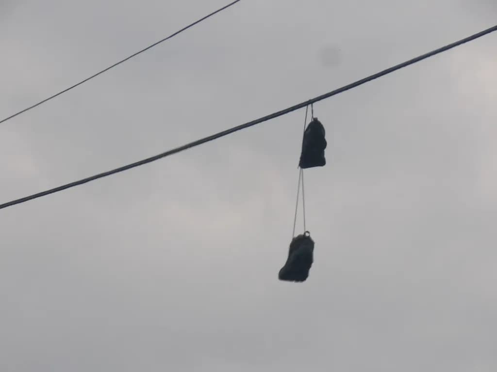 Hanging Soles